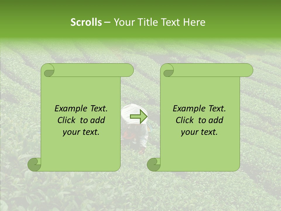 Nature Pluck China PowerPoint Template