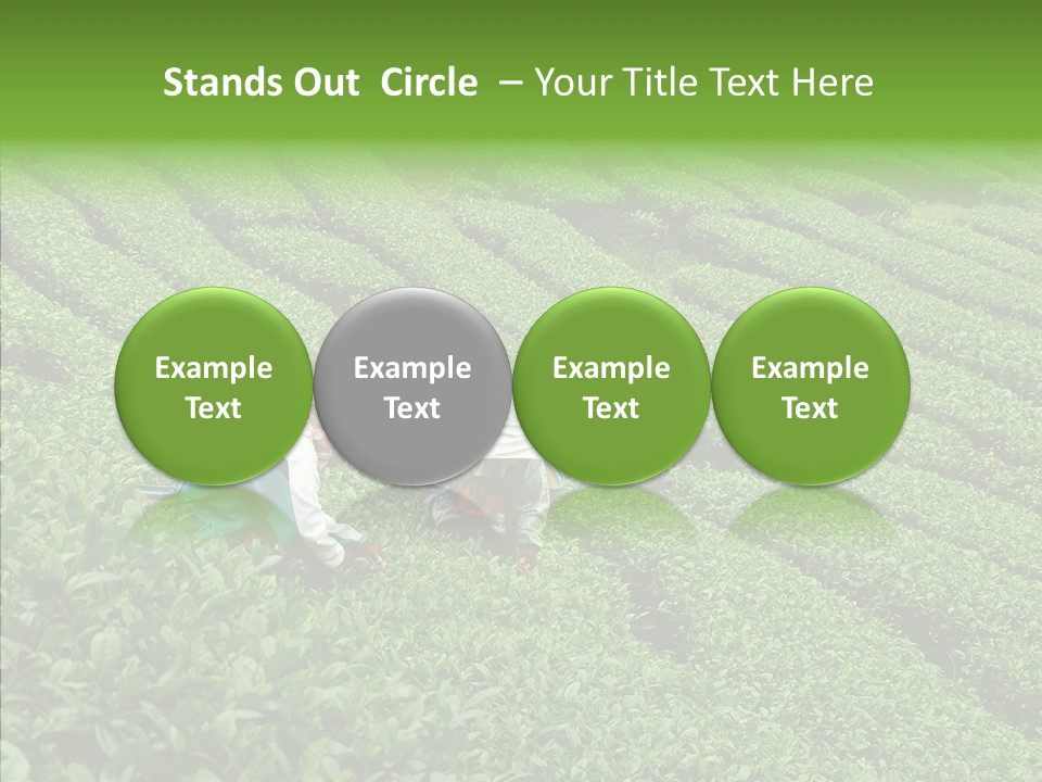 Nature Pluck China PowerPoint Template