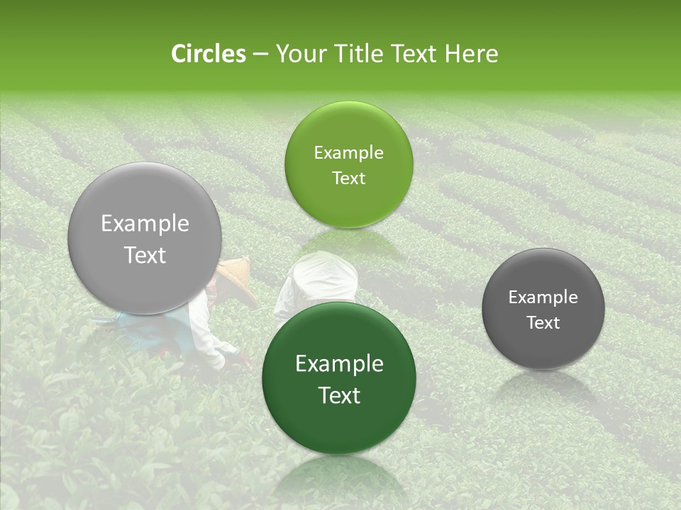 Nature Pluck China PowerPoint Template