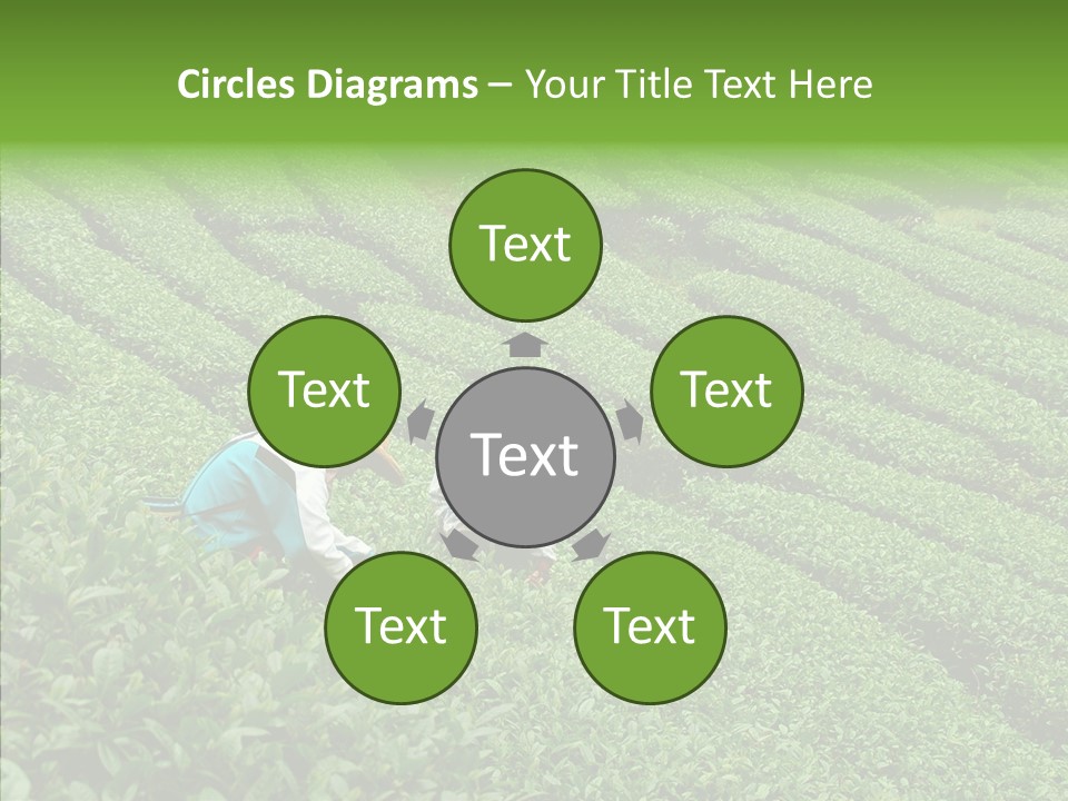 Nature Pluck China PowerPoint Template