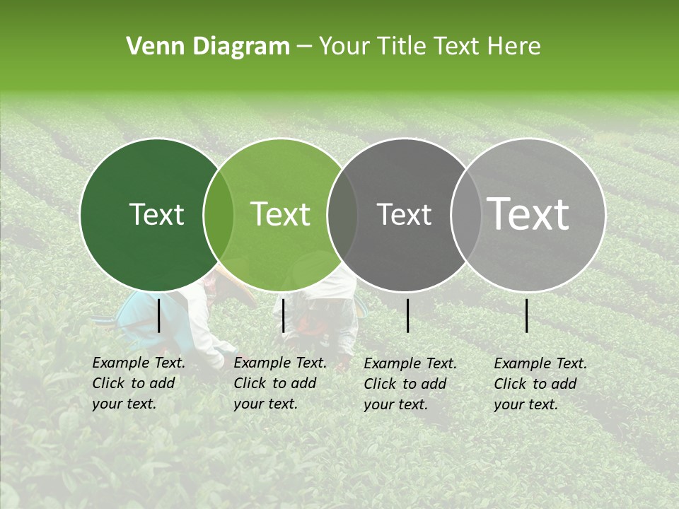 Nature Pluck China PowerPoint Template