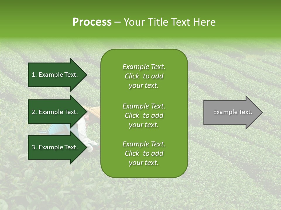 Nature Pluck China PowerPoint Template