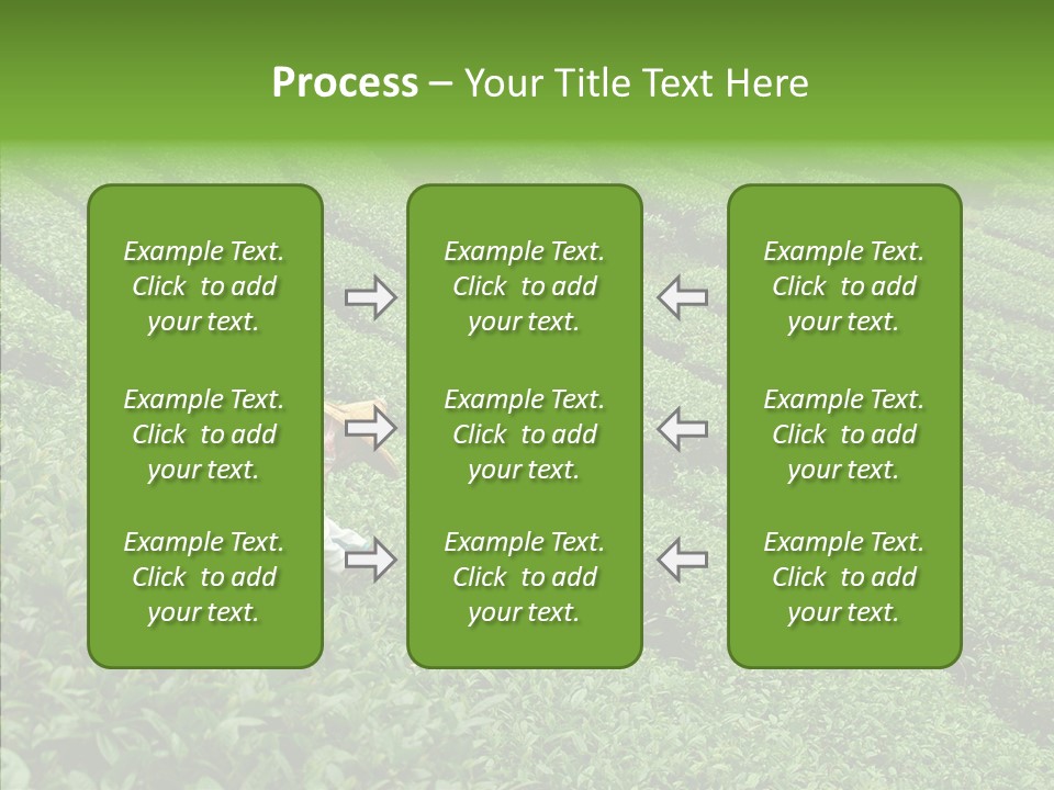 Nature Pluck China PowerPoint Template