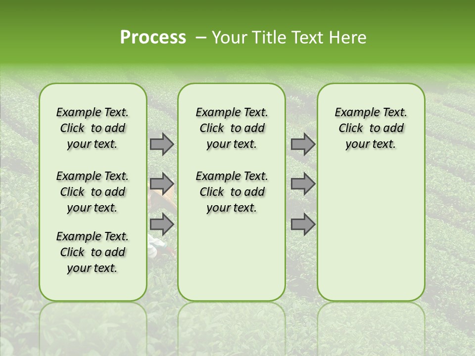 Nature Pluck China PowerPoint Template