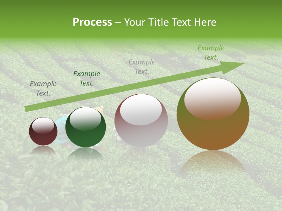 Nature Pluck China PowerPoint Template