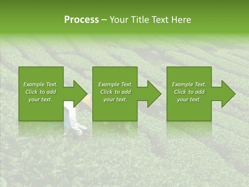 Nature Pluck China PowerPoint Template