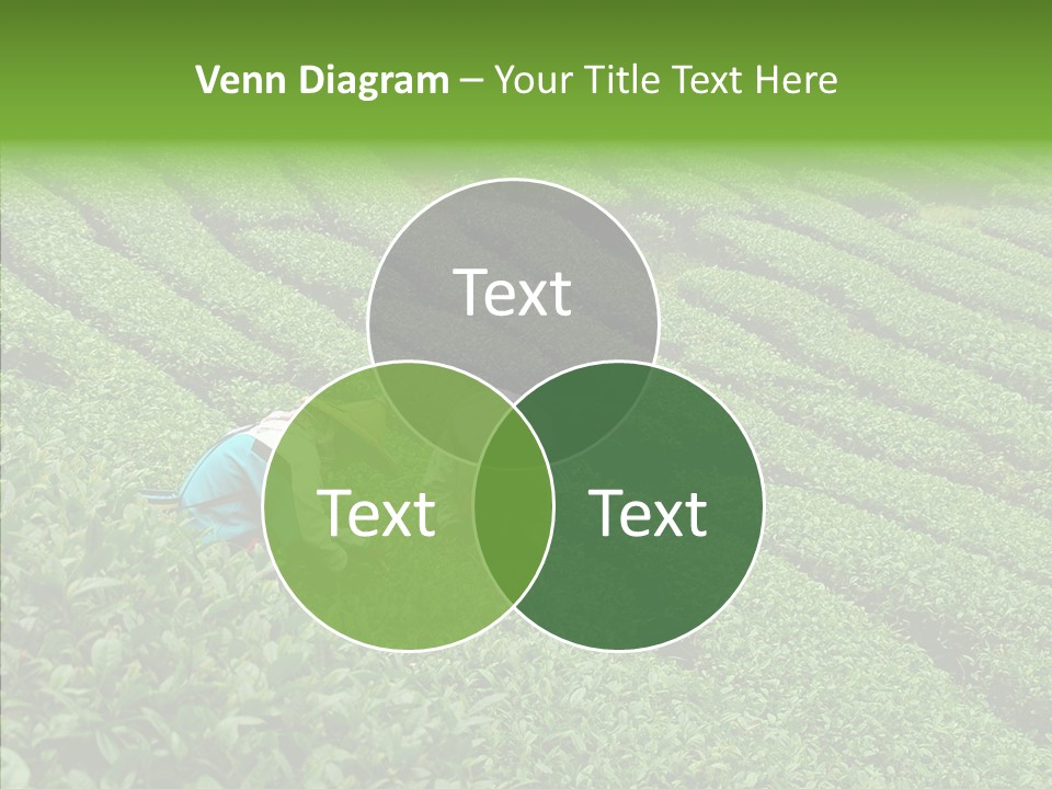 Nature Pluck China PowerPoint Template