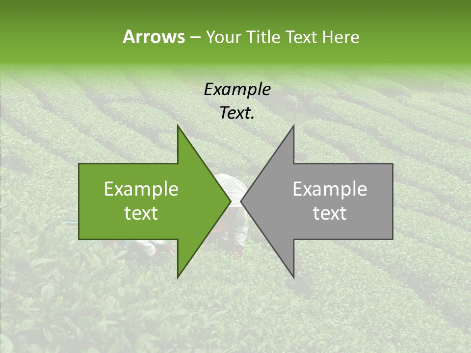 Nature Pluck China PowerPoint Template