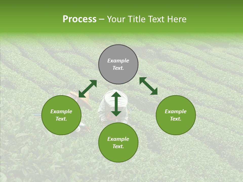 Nature Pluck China PowerPoint Template