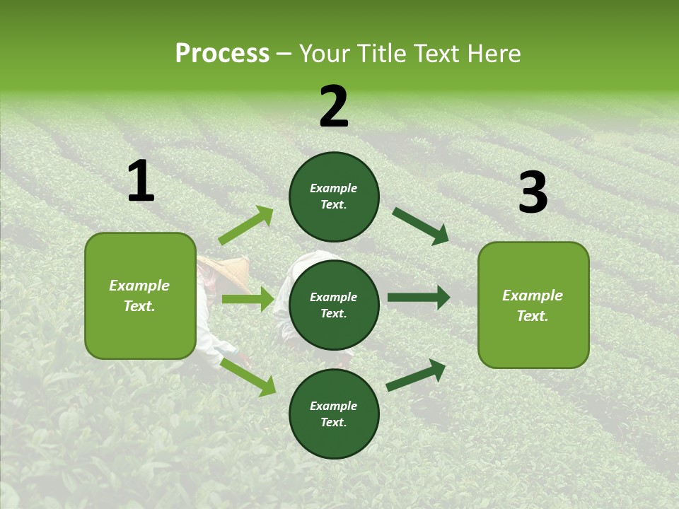 Nature Pluck China PowerPoint Template