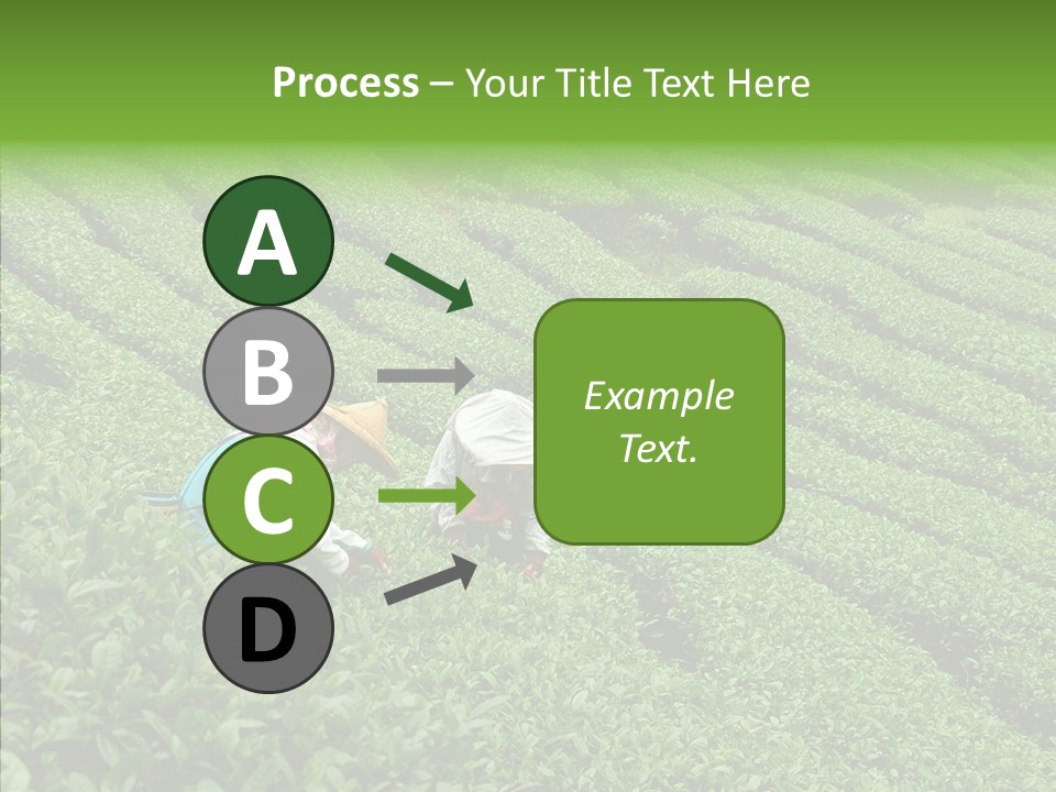 Nature Pluck China PowerPoint Template