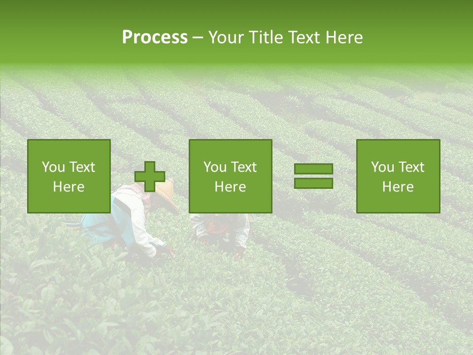 Nature Pluck China PowerPoint Template