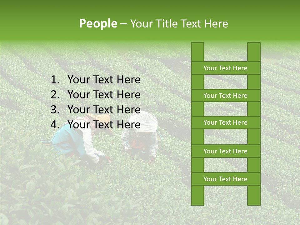 Nature Pluck China PowerPoint Template