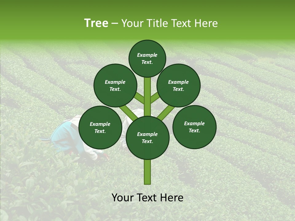 Nature Pluck China PowerPoint Template