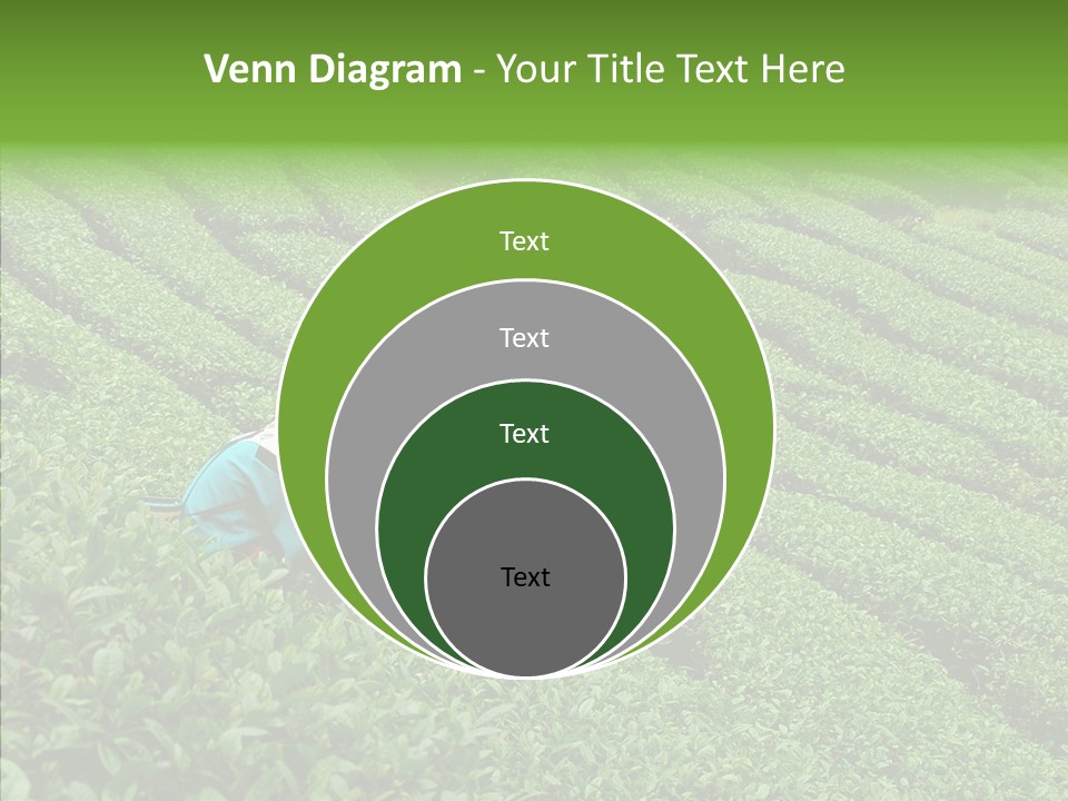 Nature Pluck China PowerPoint Template