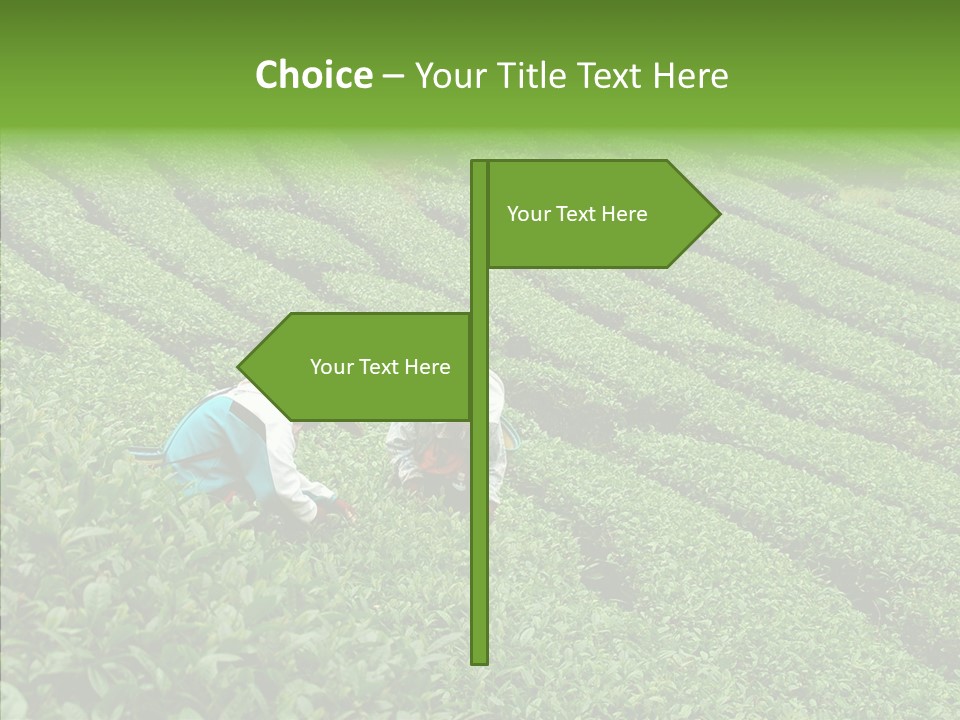 Nature Pluck China PowerPoint Template