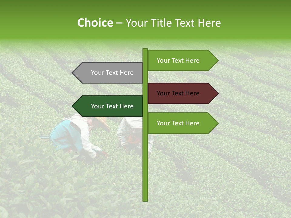 Nature Pluck China PowerPoint Template