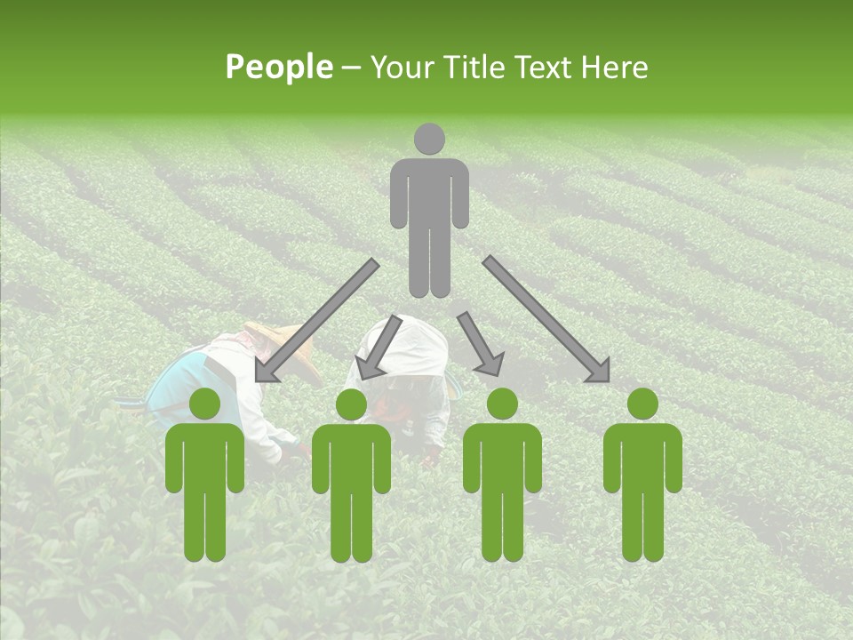 Nature Pluck China PowerPoint Template