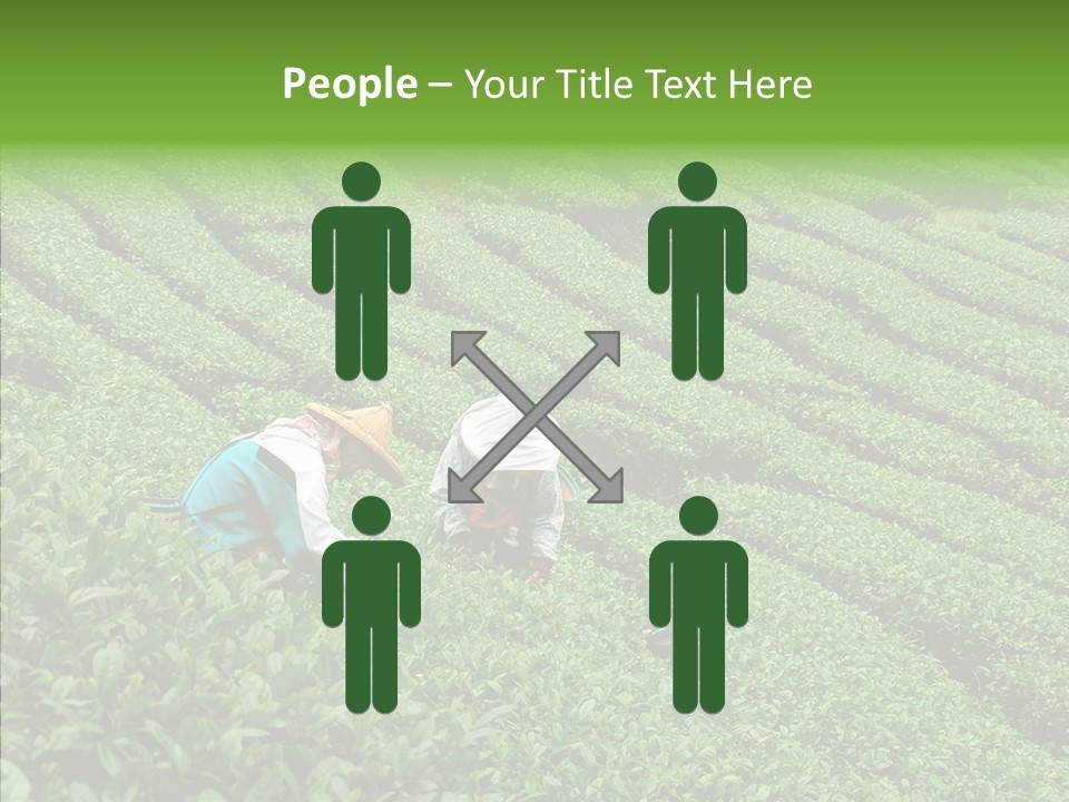 Nature Pluck China PowerPoint Template