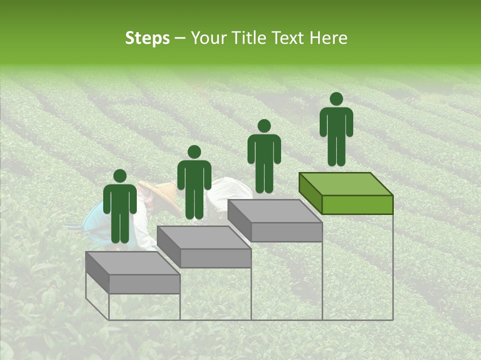 Nature Pluck China PowerPoint Template