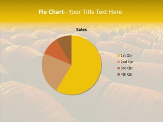 Manufacture Warehouse Vineyard PowerPoint Template