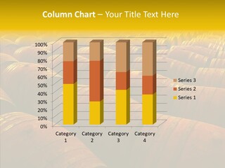 Manufacture Warehouse Vineyard PowerPoint Template