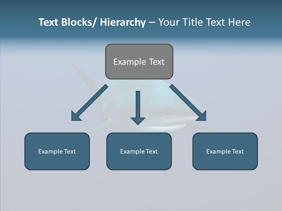 Blue Ocean Shark PowerPoint Template