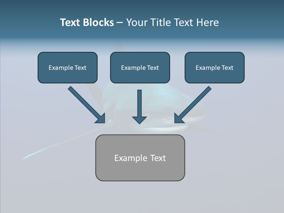 Blue Ocean Shark PowerPoint Template