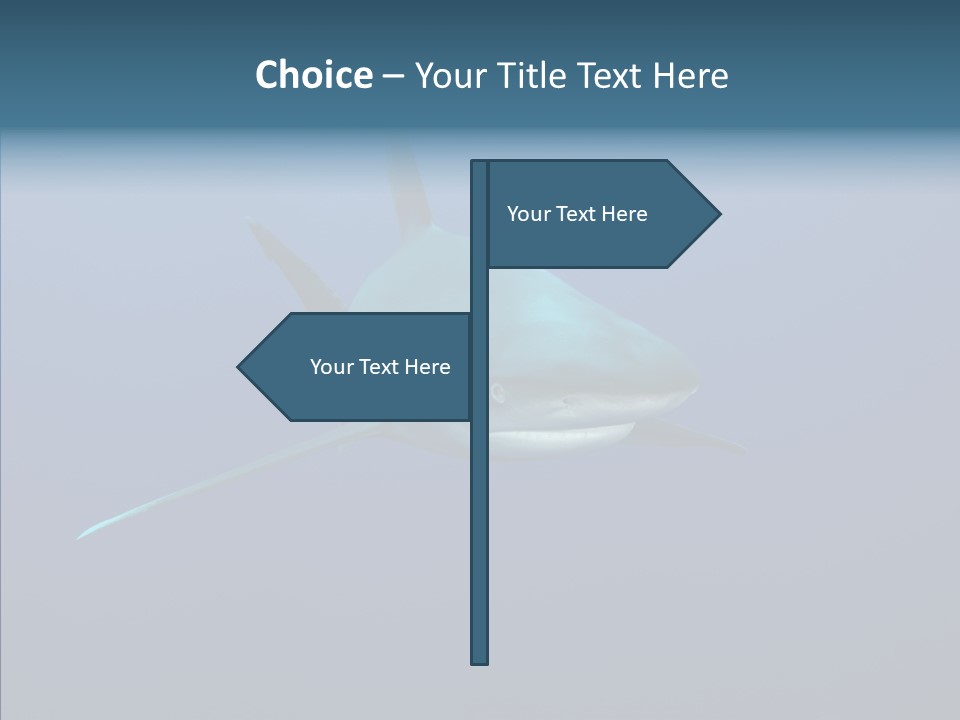 Blue Ocean Shark PowerPoint Template