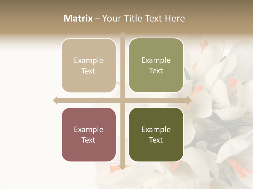 Beauty Crocus Botanical PowerPoint Template