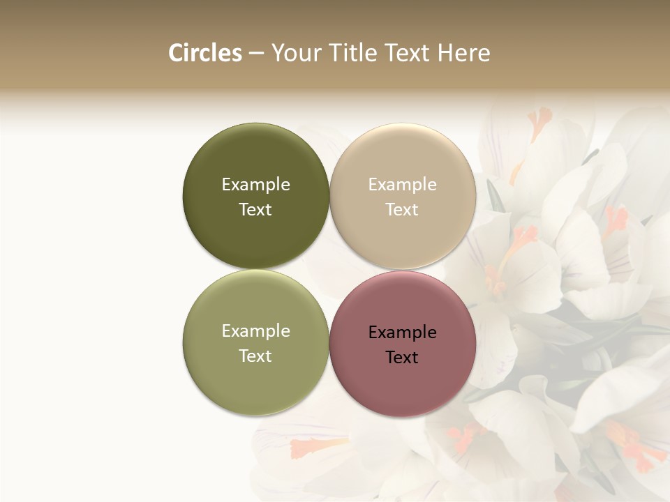 Beauty Crocus Botanical PowerPoint Template