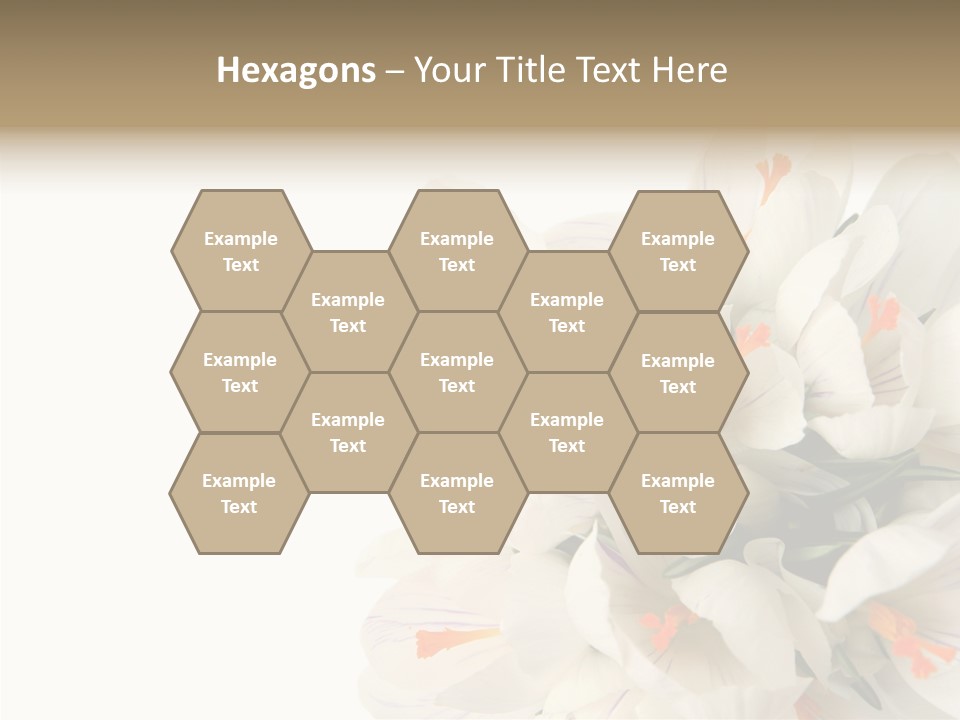 Beauty Crocus Botanical PowerPoint Template