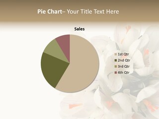 Beauty Crocus Botanical PowerPoint Template