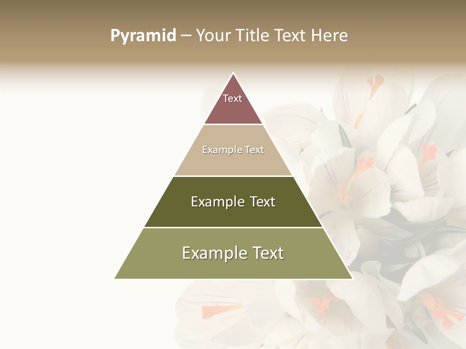 Beauty Crocus Botanical PowerPoint Template