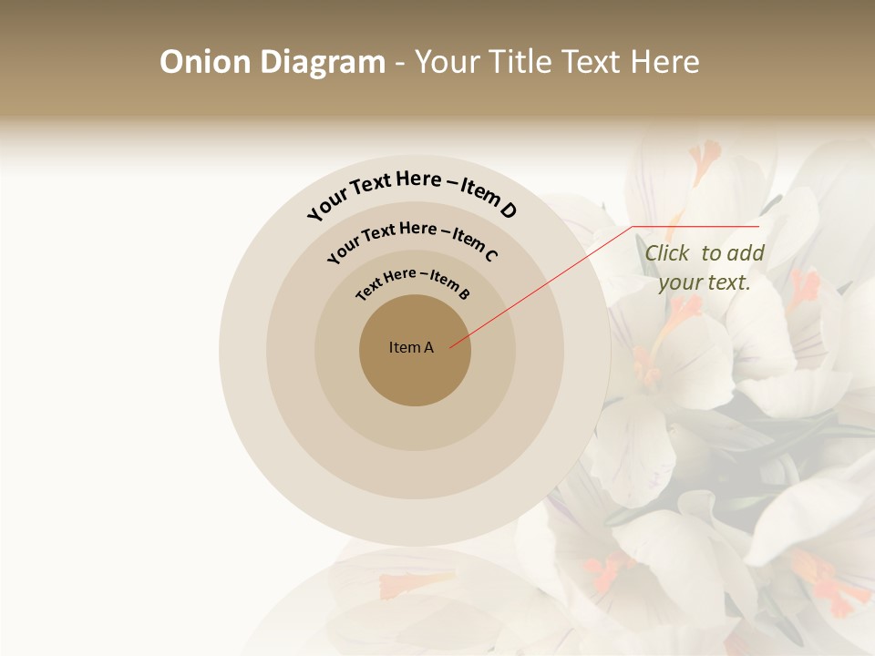 Beauty Crocus Botanical PowerPoint Template