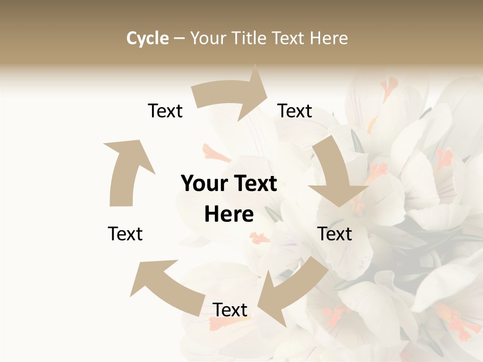 Beauty Crocus Botanical PowerPoint Template