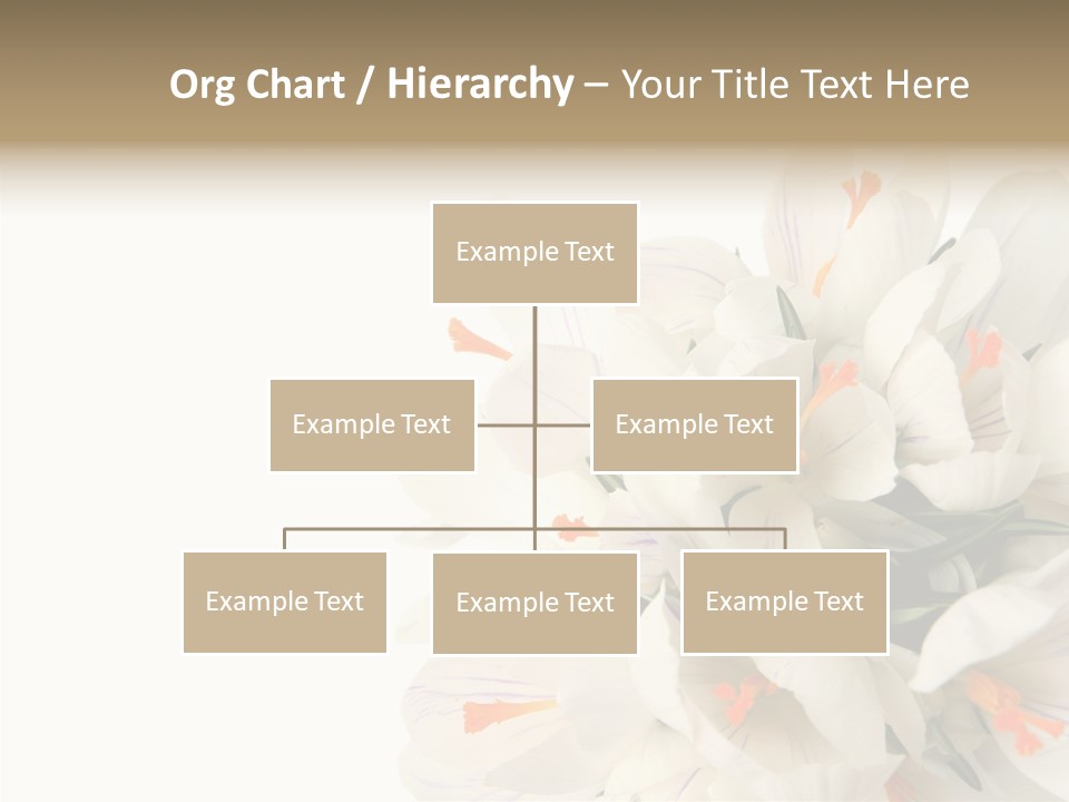 Beauty Crocus Botanical PowerPoint Template