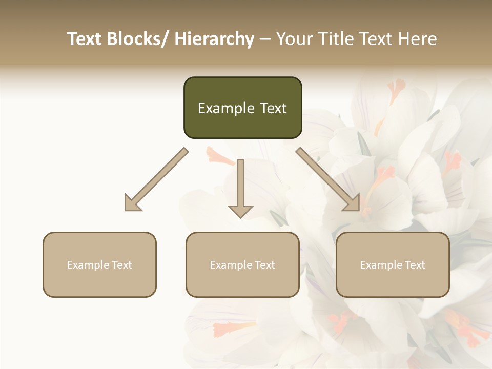 Beauty Crocus Botanical PowerPoint Template