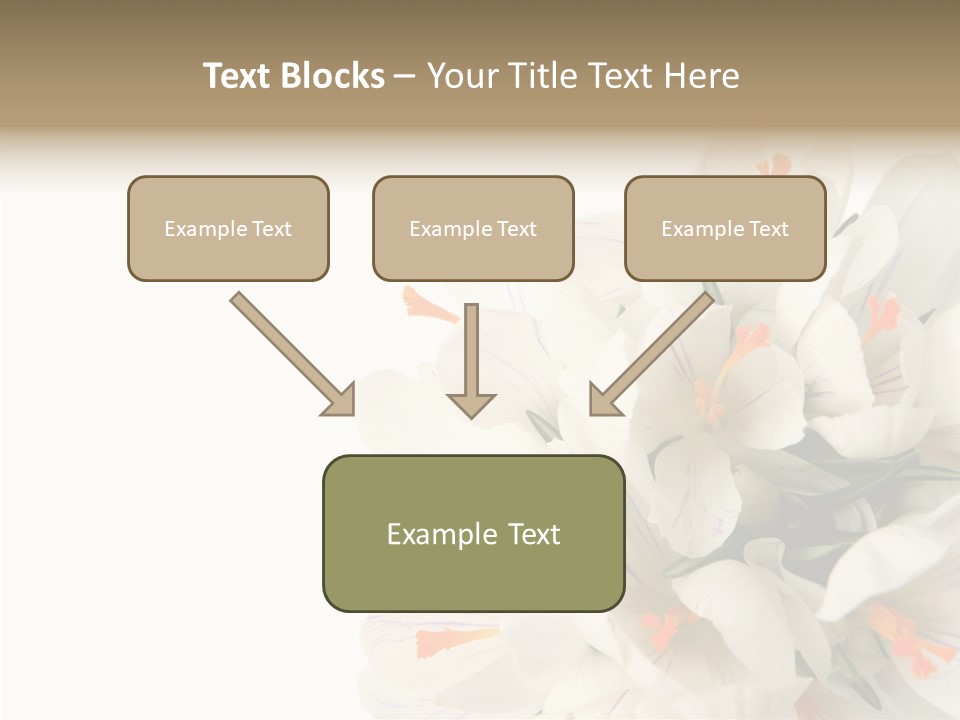 Beauty Crocus Botanical PowerPoint Template