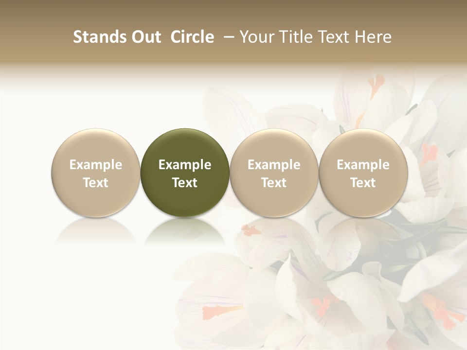 Beauty Crocus Botanical PowerPoint Template