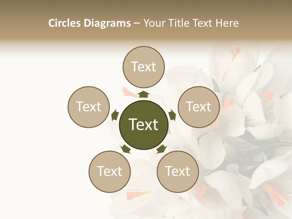 Beauty Crocus Botanical PowerPoint Template