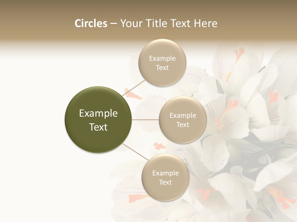 Beauty Crocus Botanical PowerPoint Template