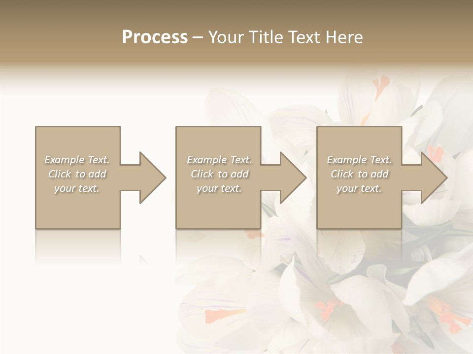 Beauty Crocus Botanical PowerPoint Template