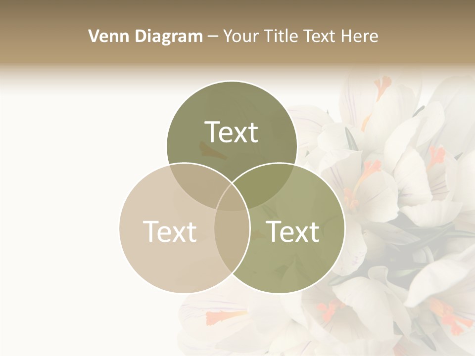 Beauty Crocus Botanical PowerPoint Template