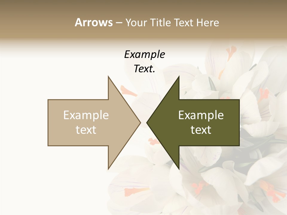 Beauty Crocus Botanical PowerPoint Template