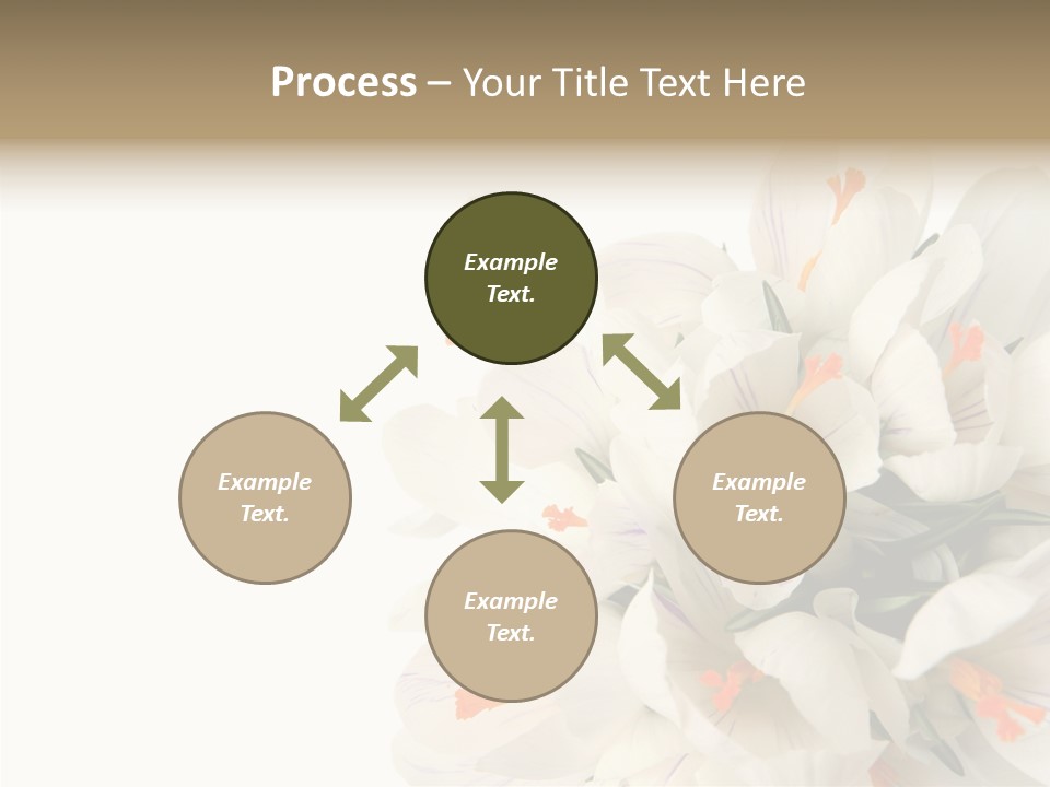 Beauty Crocus Botanical PowerPoint Template