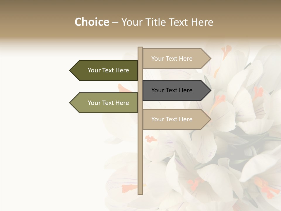 Beauty Crocus Botanical PowerPoint Template