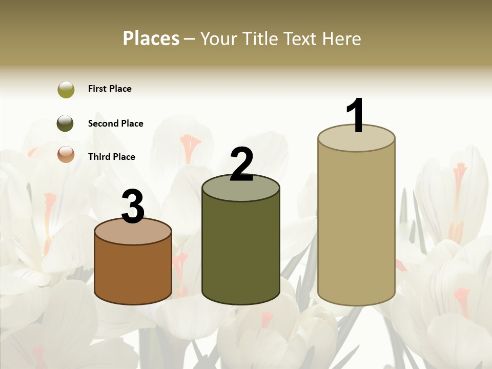 Spring Botanical Springtime PowerPoint Template