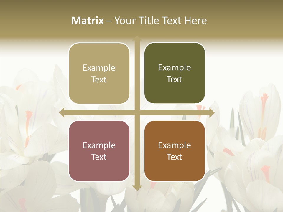 Spring Botanical Springtime PowerPoint Template