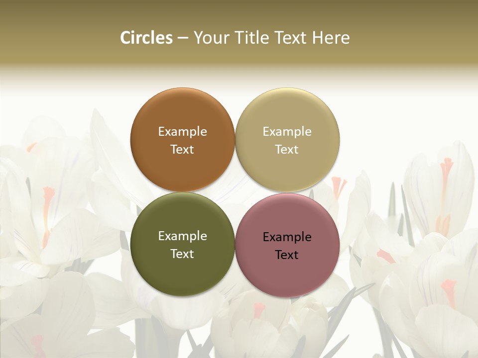 Spring Botanical Springtime PowerPoint Template